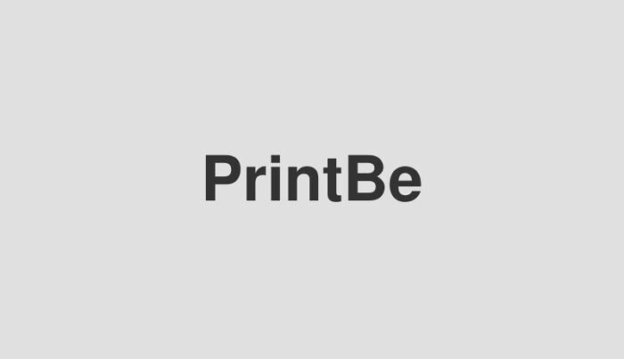 Printer Epson Surelab D530